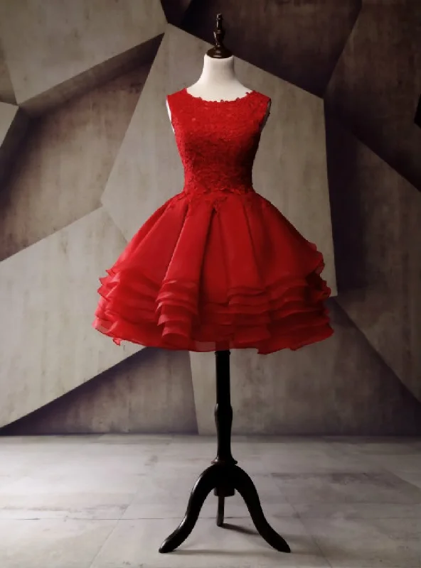 Glamour DressShort Homecoming Dress Organza Homecoming Dress Lace Homecoming Dress
